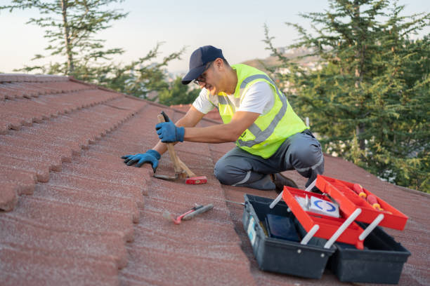 Best Best Roofing Contractors  in Cass City, MI