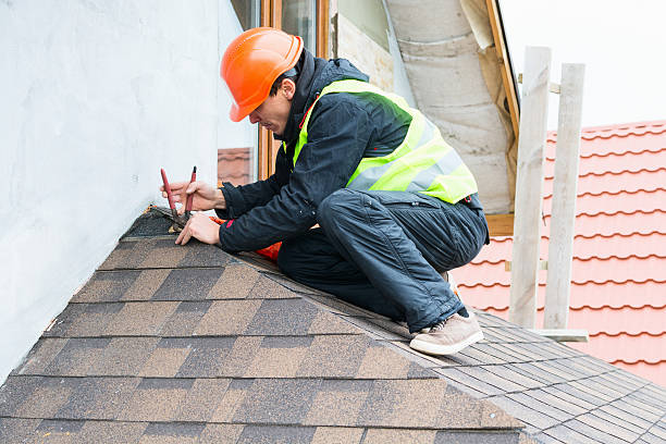 Best Roof Maintenance Services  in Cass City, MI