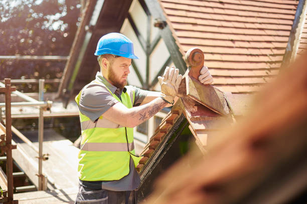 Best Roof Waterproofing Services  in Cass City, MI